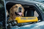 Peugeot представила кроссовер, разработанный с учетом потребностей собак